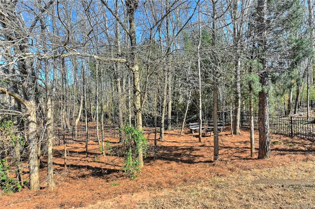 2007 Oakmere Road Waxhaw, NC 28173 - Photo 32 of 36 Gallery Image 32