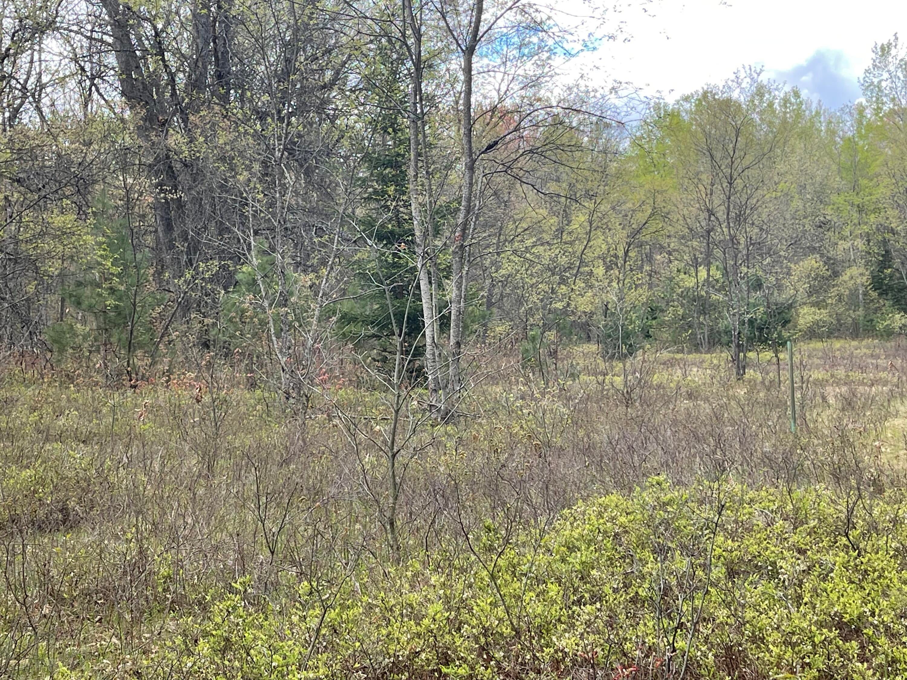 Lansing Road Roscommon, MI 48653 - Photo 6 of 9