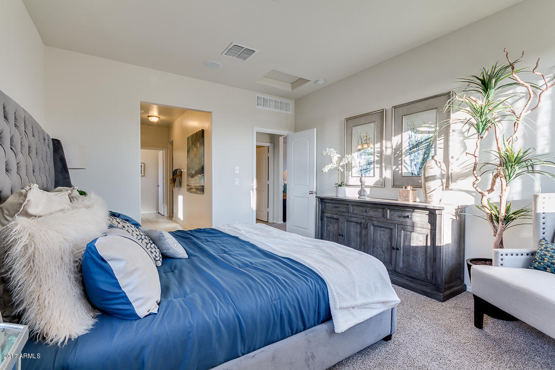 30911 West Picadilly Road Buckeye, AZ 85396 - Photo 20 of 46 Rainier master