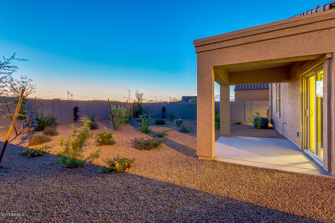 30911 West Picadilly Road Buckeye, AZ 85396 - Photo 34 of 46 Rainier model backyard view