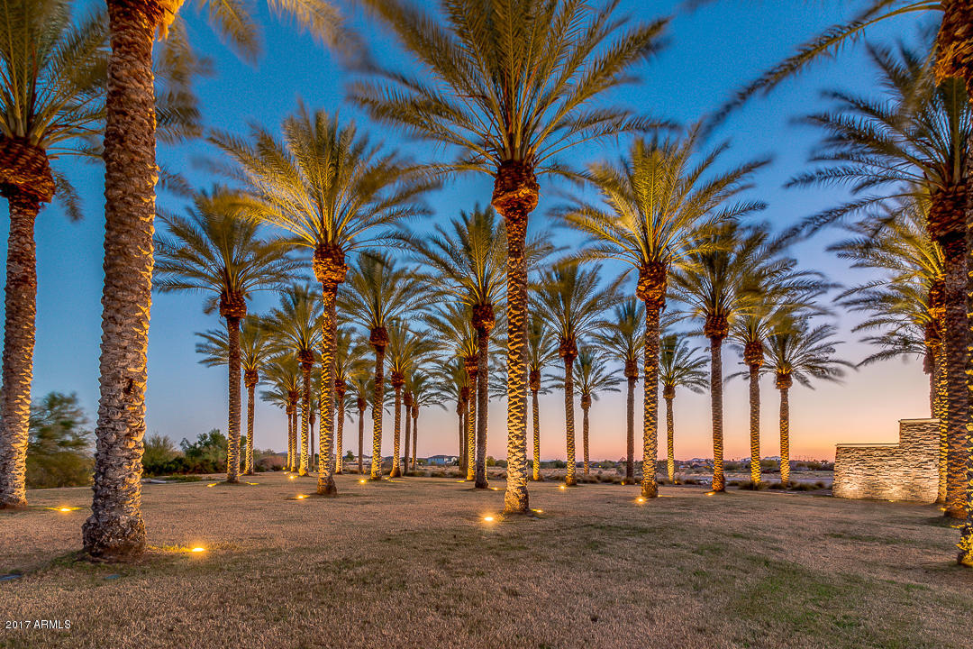 30911 West Picadilly Road Buckeye, AZ 85396 - Photo 44 of 46 Tartesso at Night
