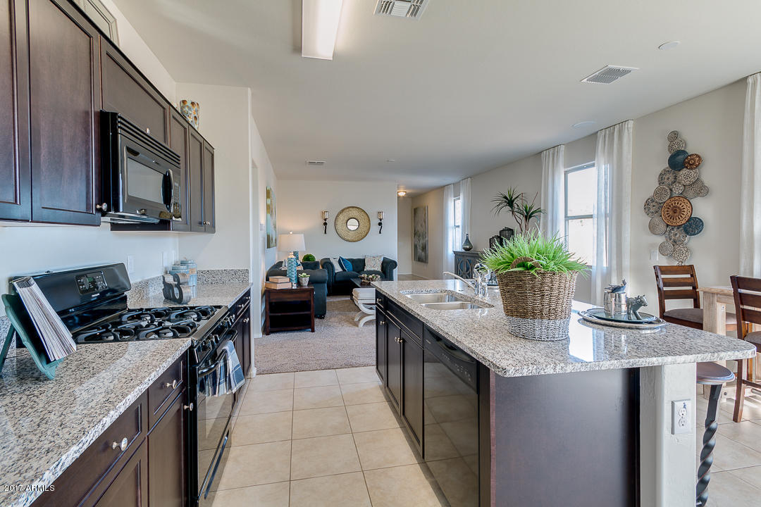 30911 West Picadilly Road Buckeye, AZ 85396 - Photo 10 of 46 Rainier kitchen