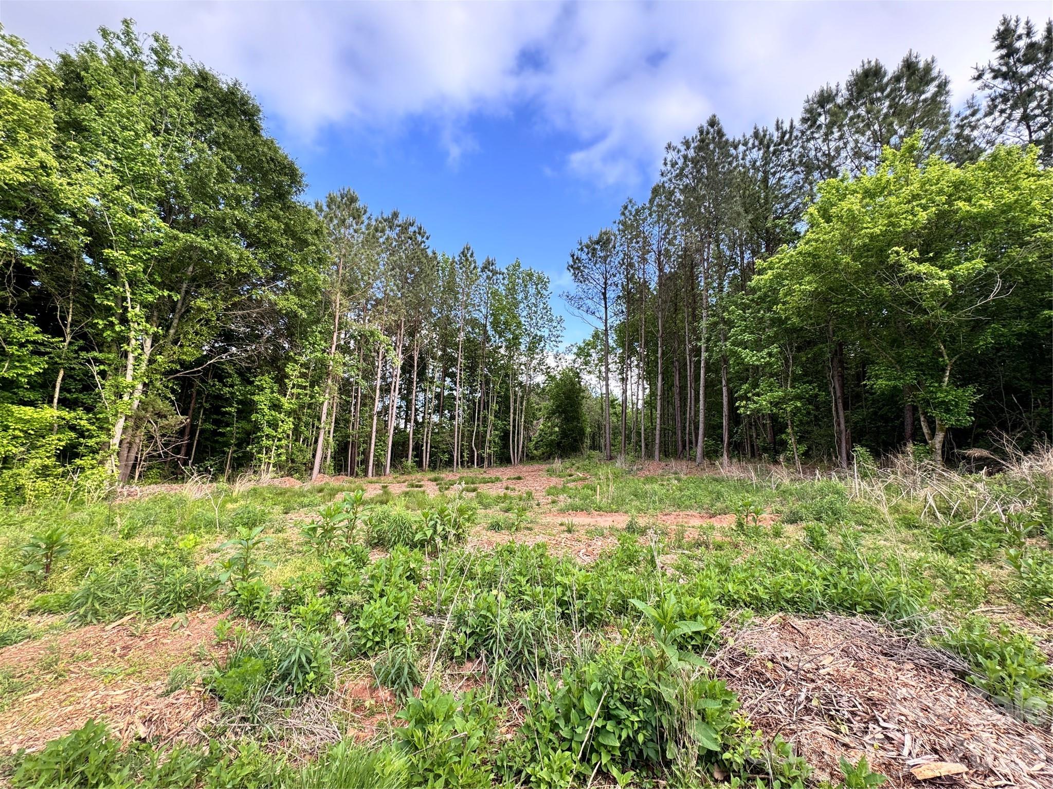 170 Beagle Club Road Cherryville, NC 28021 - Photo 18 of 28