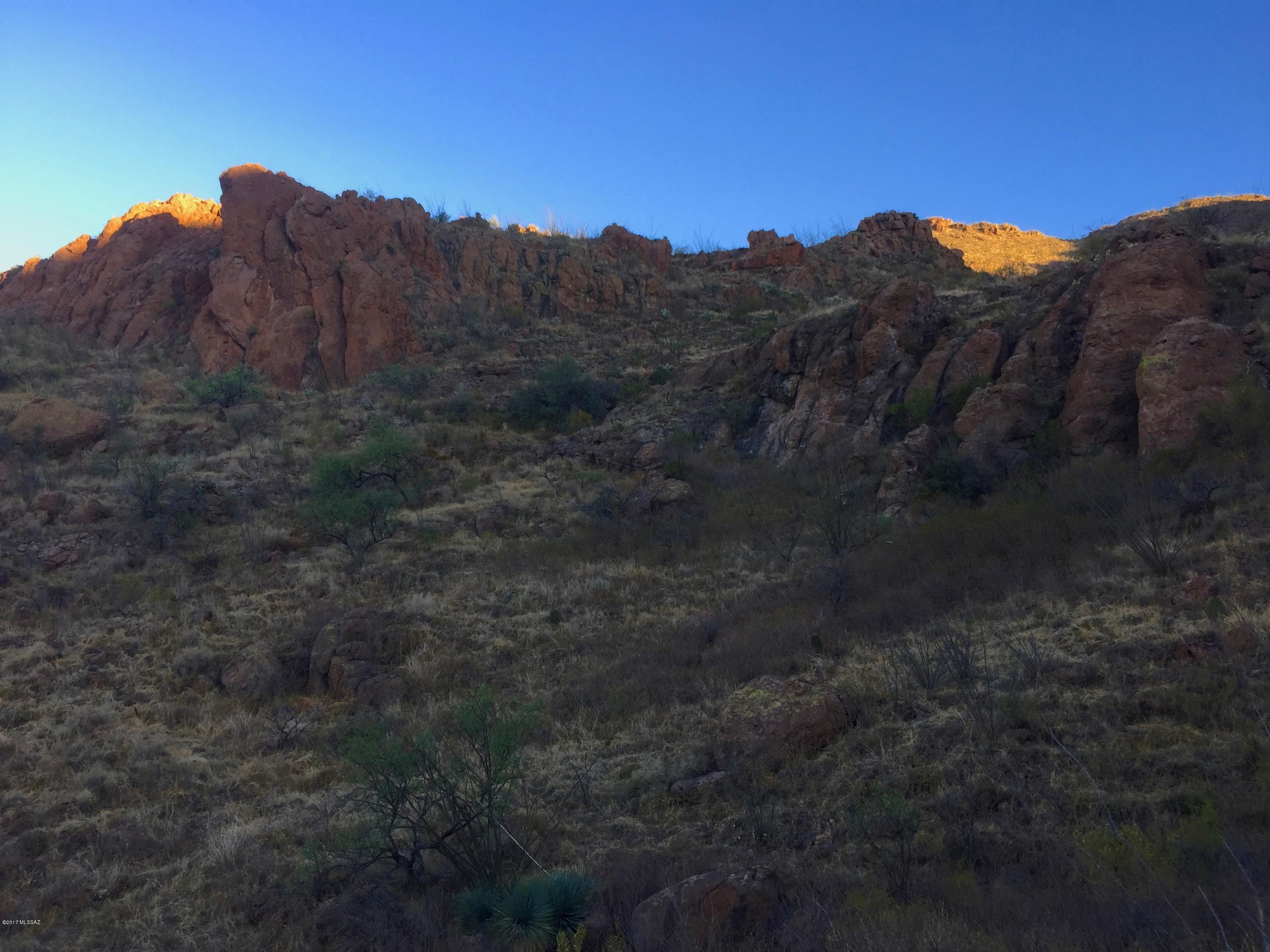 96 Salida Springs Way, Unit 123 Rio Rico, AZ 85648 - Photo 7 of 12