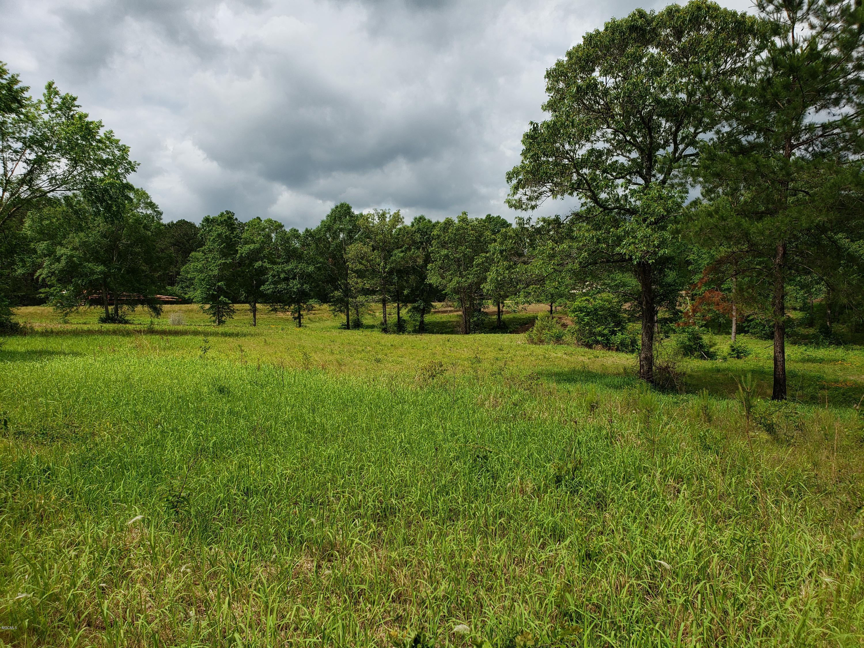 F Sammy Jo Road Lumberton, MS 39455 - Photo 1 of 4 20190503_103611