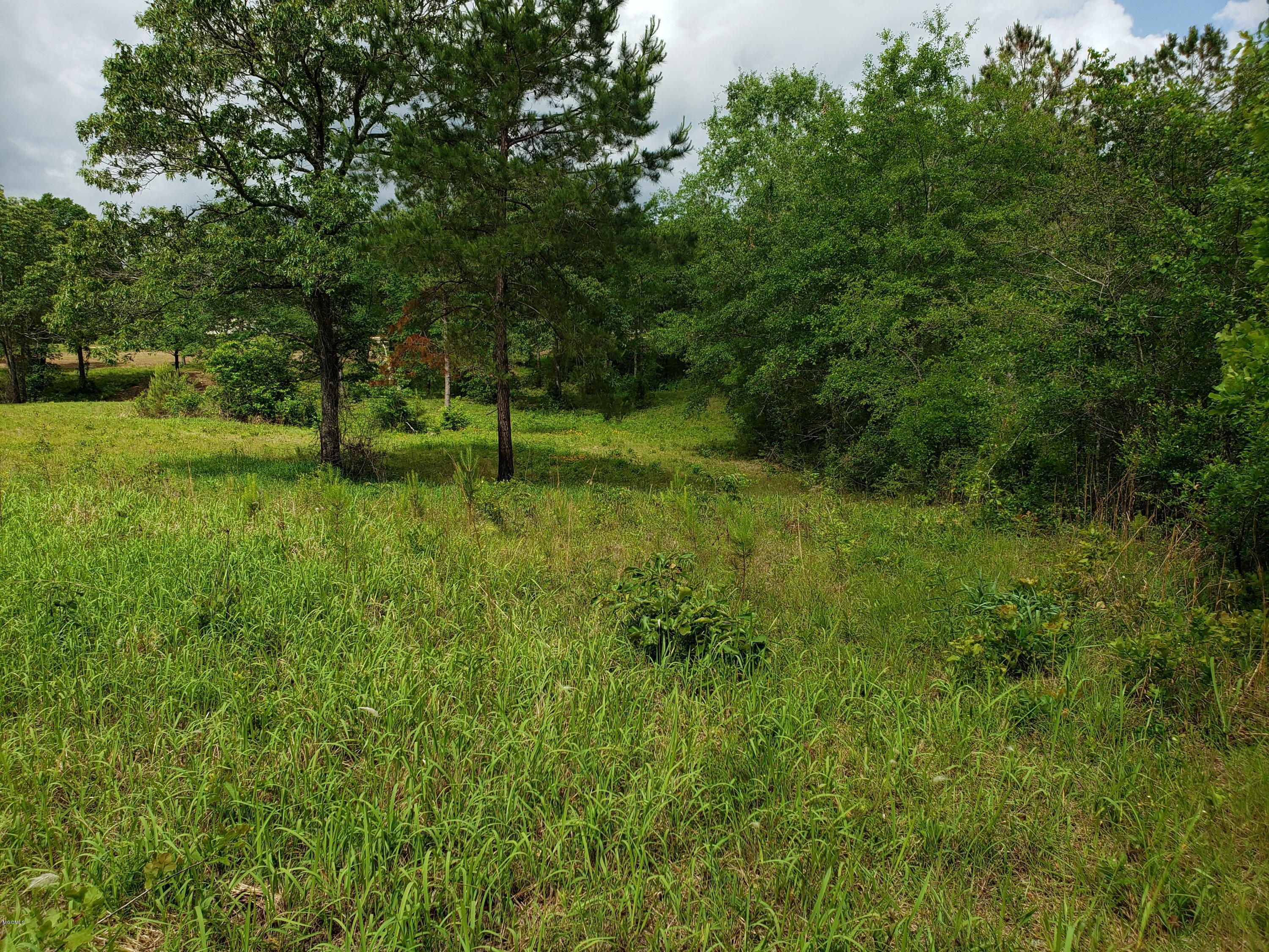 F Sammy Jo Road Lumberton, MS 39455 - Photo 2 of 4 20190503_103609