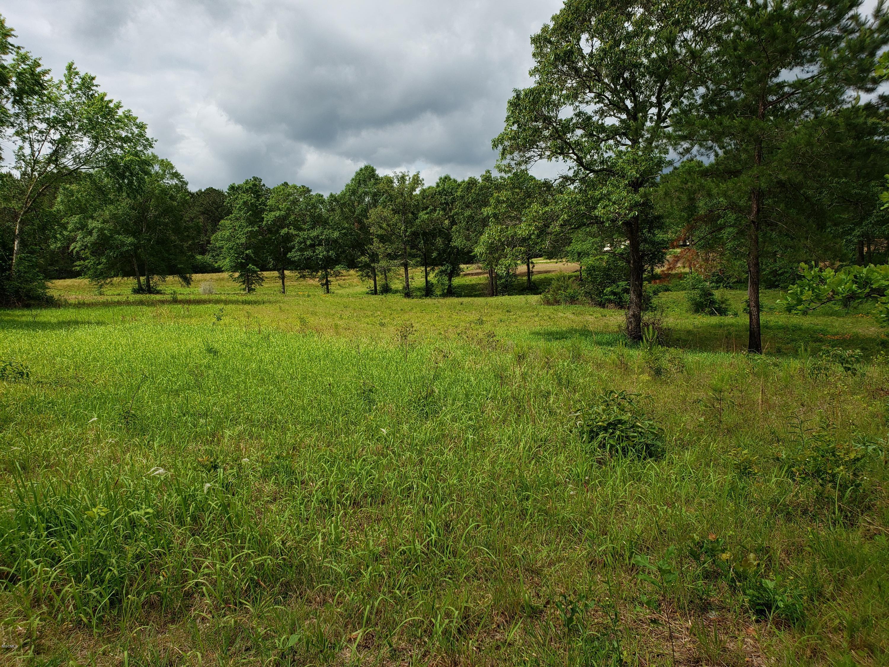 F Sammy Jo Road Lumberton, MS 39455 - Photo 3 of 4 20190503_103602
