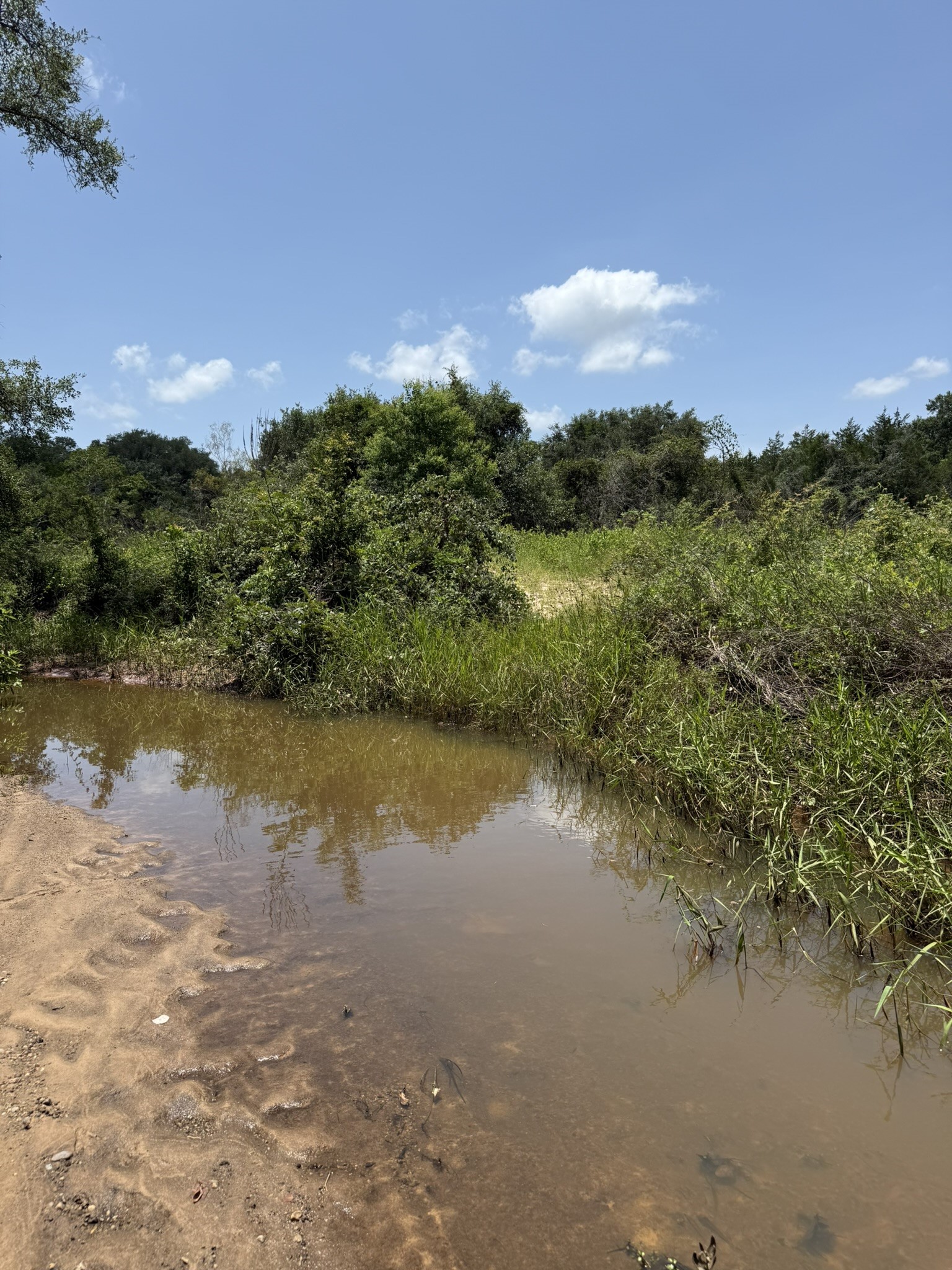 Tbd Rubin Lee Road Cat Spring, TX 78933 - Photo 33 of 47 a view of lake with green space