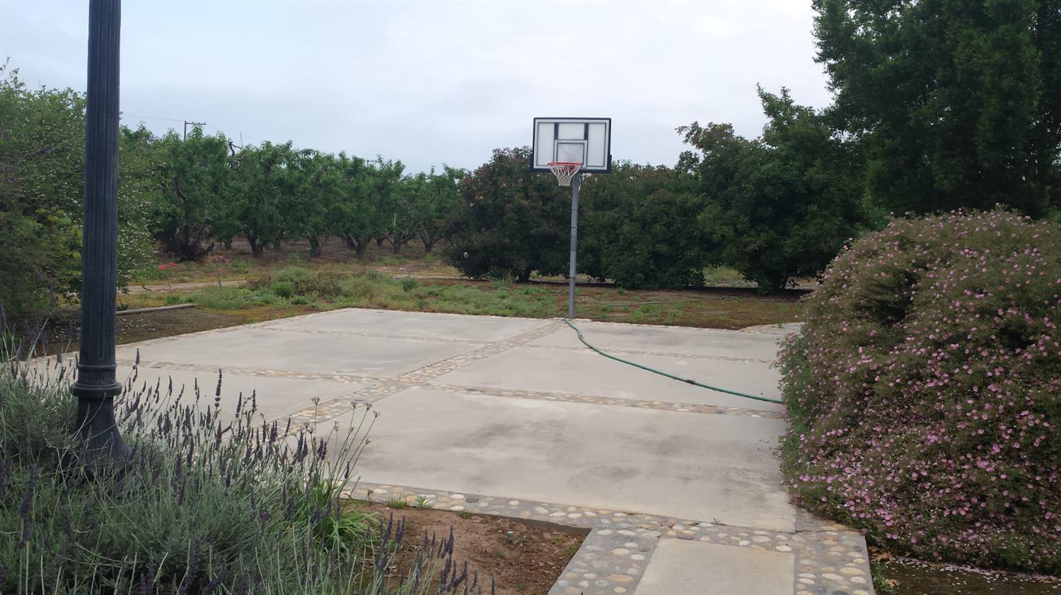 19076 East Central Avenue Reedley, CA 93654 - Photo 2 of 16 a view of a backyard