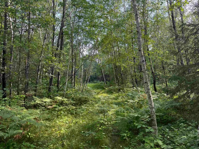 $150,000 | 63 Highway 63, Springbrook, WI 54875