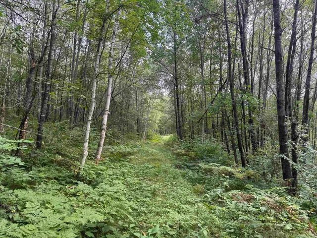 $150,000 | 63 Highway 63, Springbrook, WI 54875