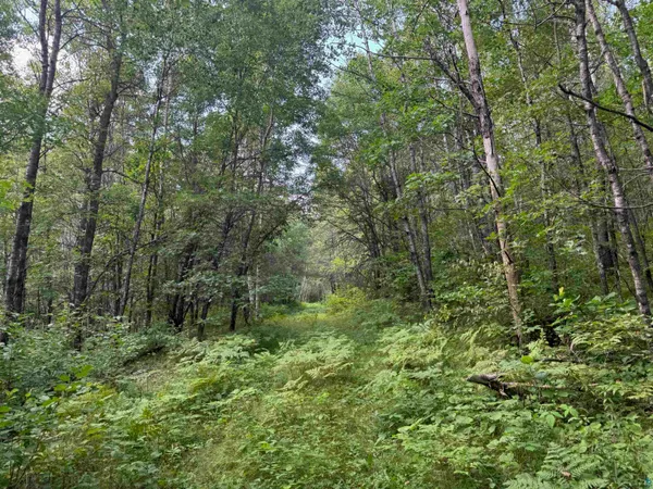 $150,000 | 63 Highway 63, Springbrook, WI 54875