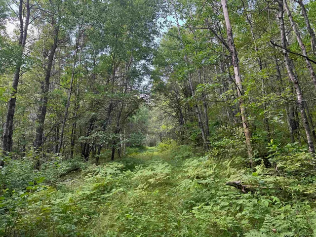 $150,000 | 63 Highway 63, Springbrook, WI 54875
