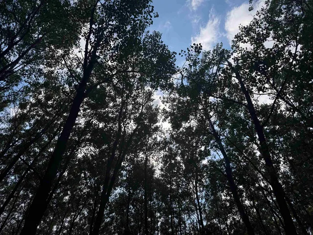 $150,000 | 63 Highway 63, Springbrook, WI 54875