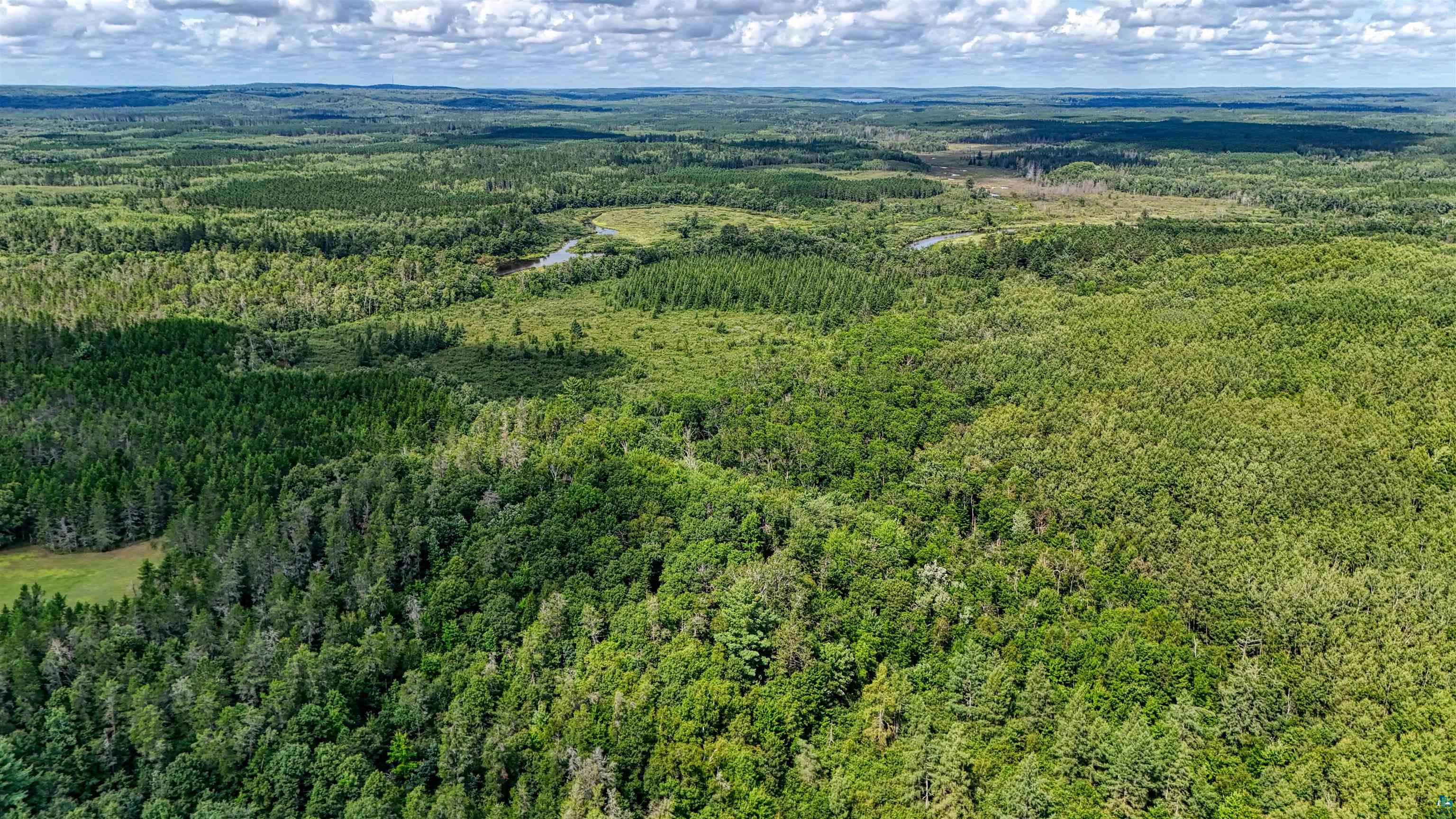 63 Highway 63 Springbrook, WI 54875 - Photo 5 of 15 Aerial view of a heavily wooded area