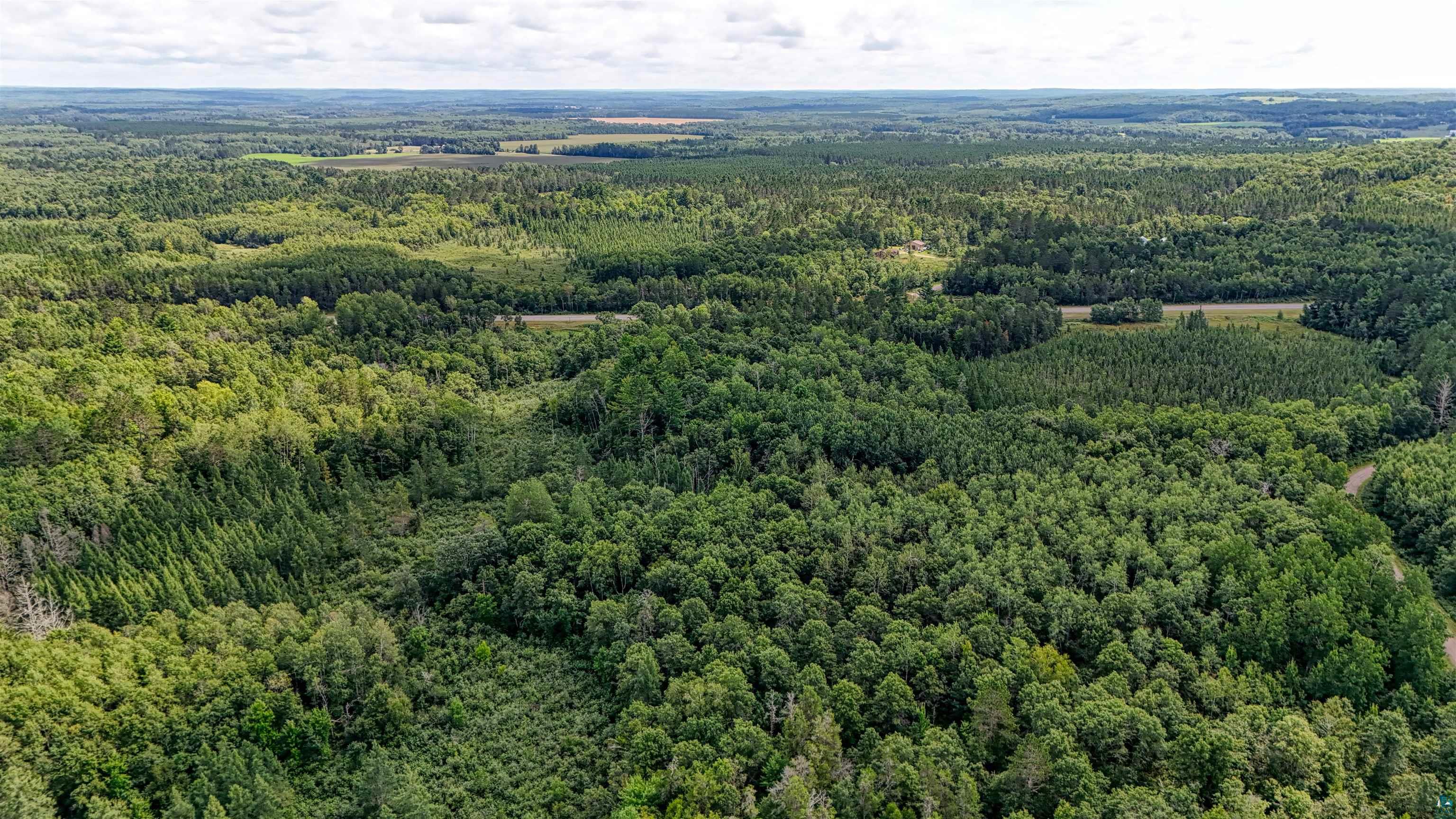 63 Highway 63 Springbrook, WI 54875 - Photo 6 of 15 Bird's eye view of a forest