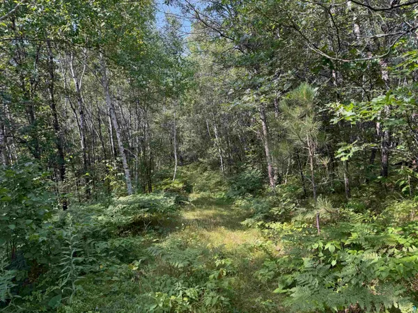 $150,000 | 63 Highway 63, Springbrook, WI 54875