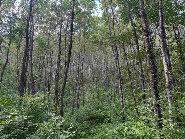 $150,000 | 63 Highway 63, Springbrook, WI 54875