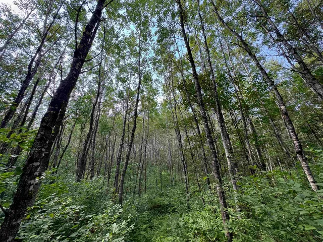 $150,000 | 63 Highway 63, Springbrook, WI 54875