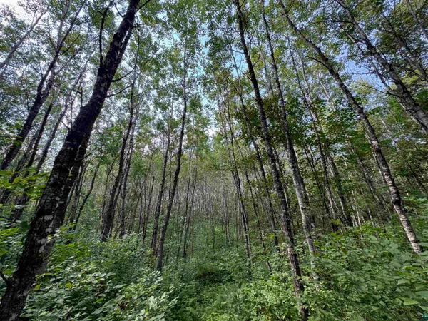 $150,000 | 63 Highway 63, Springbrook, WI 54875