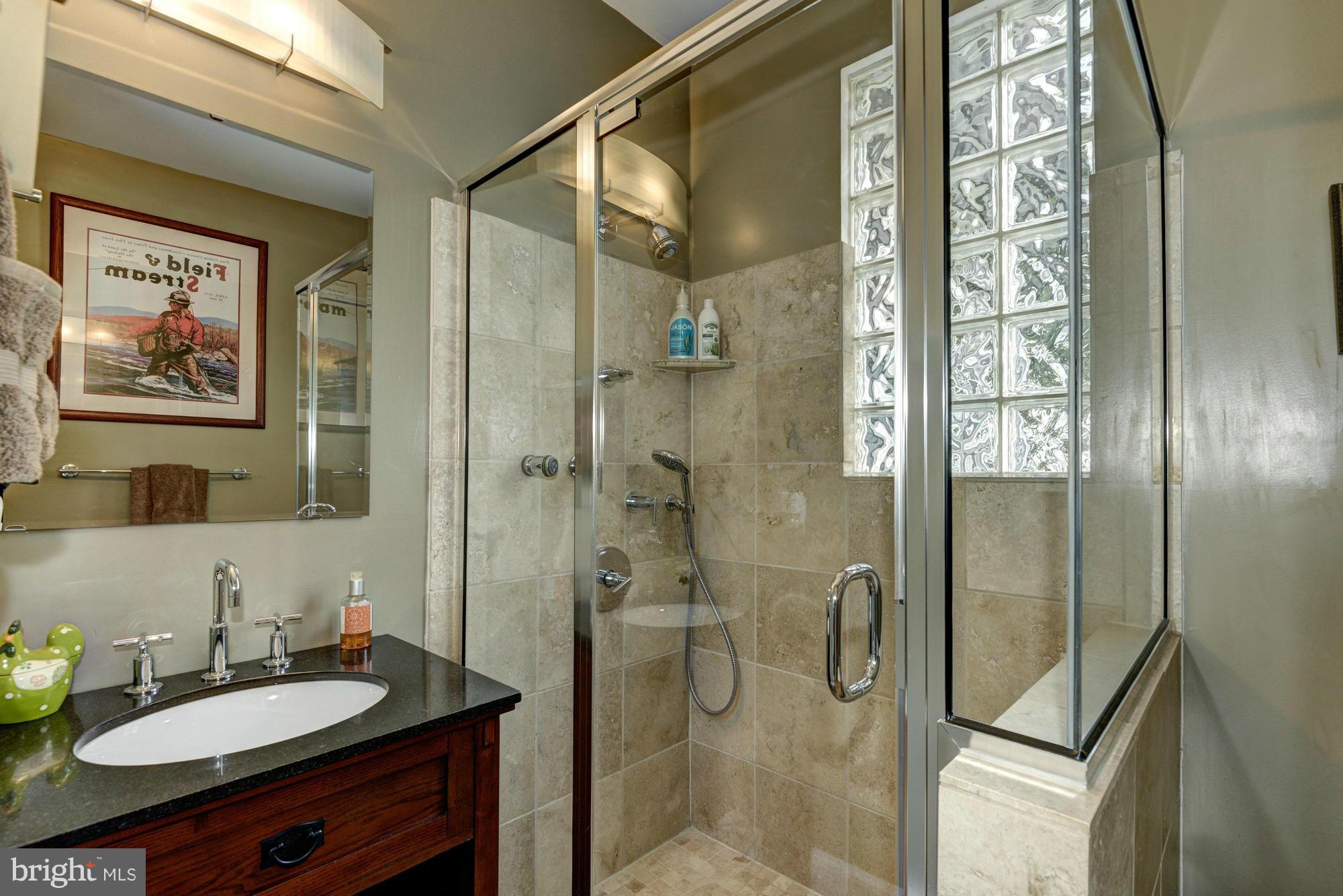 742 Anneslie Road Baltimore, MD 21212 - Photo 22 of 30 Totally renovated main bathroom