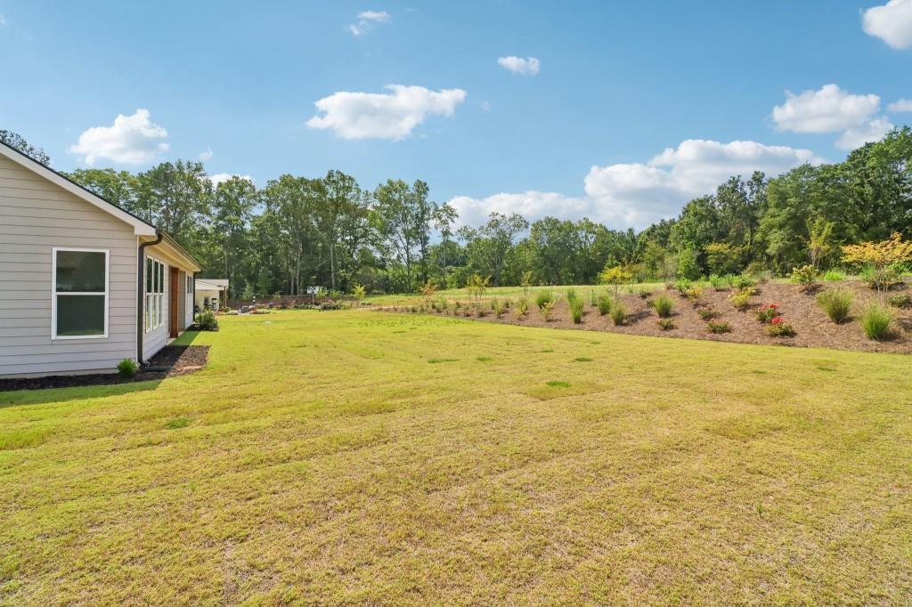 1297 P J East Road Covington, GA 30014 - Photo 54 of 81 Gallery Image 54
