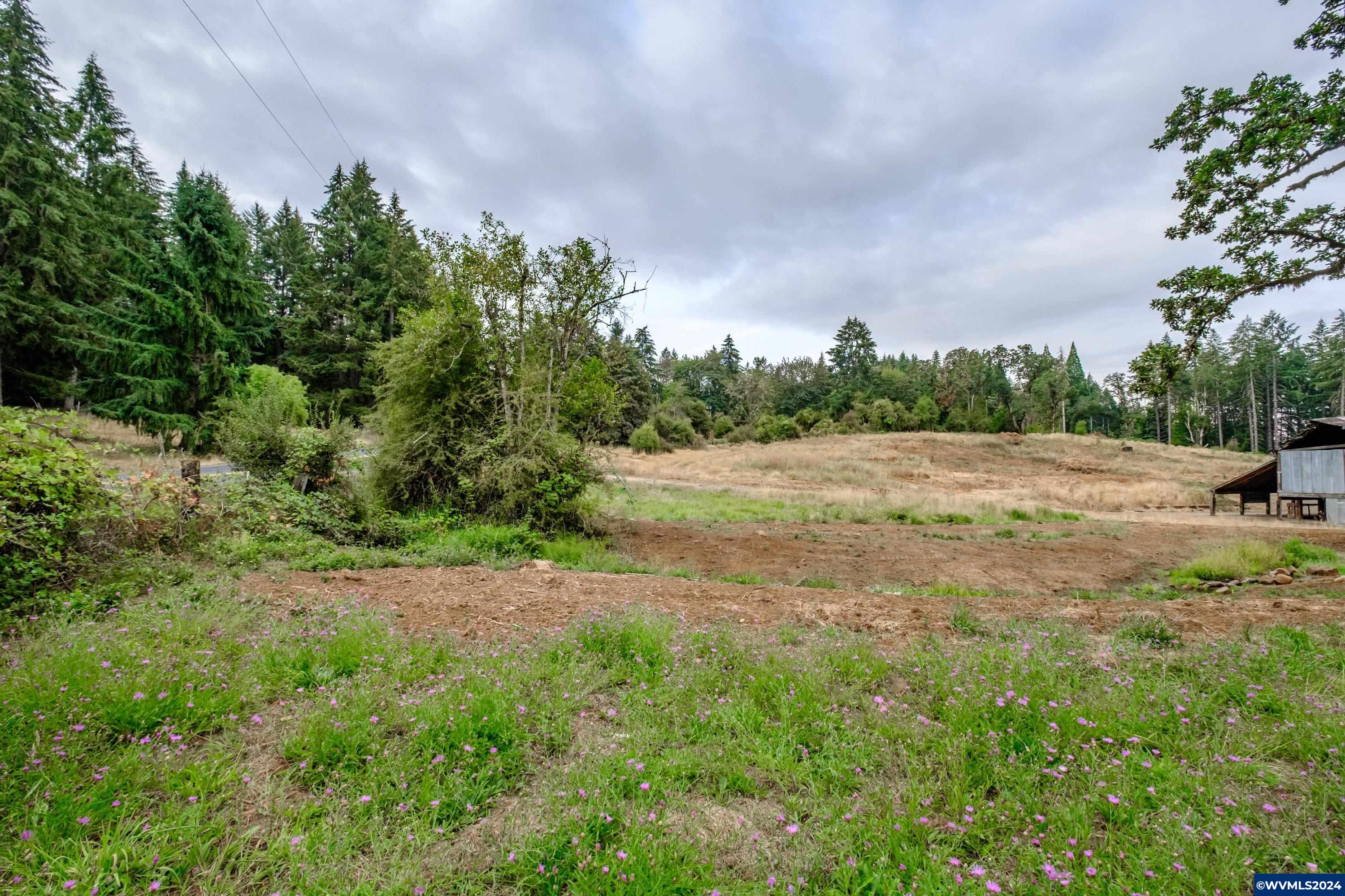 Tbd Rodgers Mountain Loop Scio, OR 97374 - Photo 32 of 41 Gallery Image 32