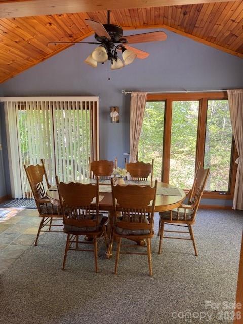 918 Plott Balsam Road Maggie Valley, NC 28751 - Photo 14 of 30