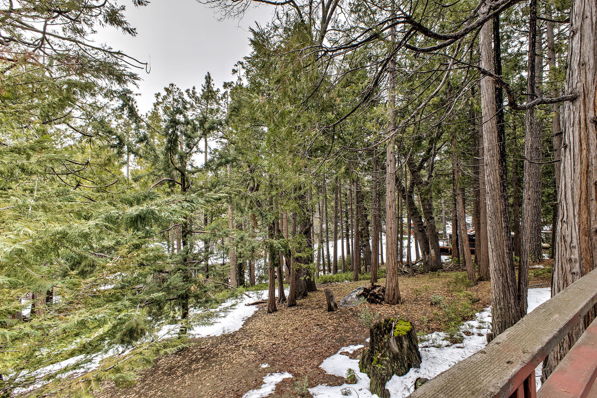 53250 Middleridge Drive Idyllwild, CA 92549 - Photo 28 of 30 a backyard of a house with lots of green space