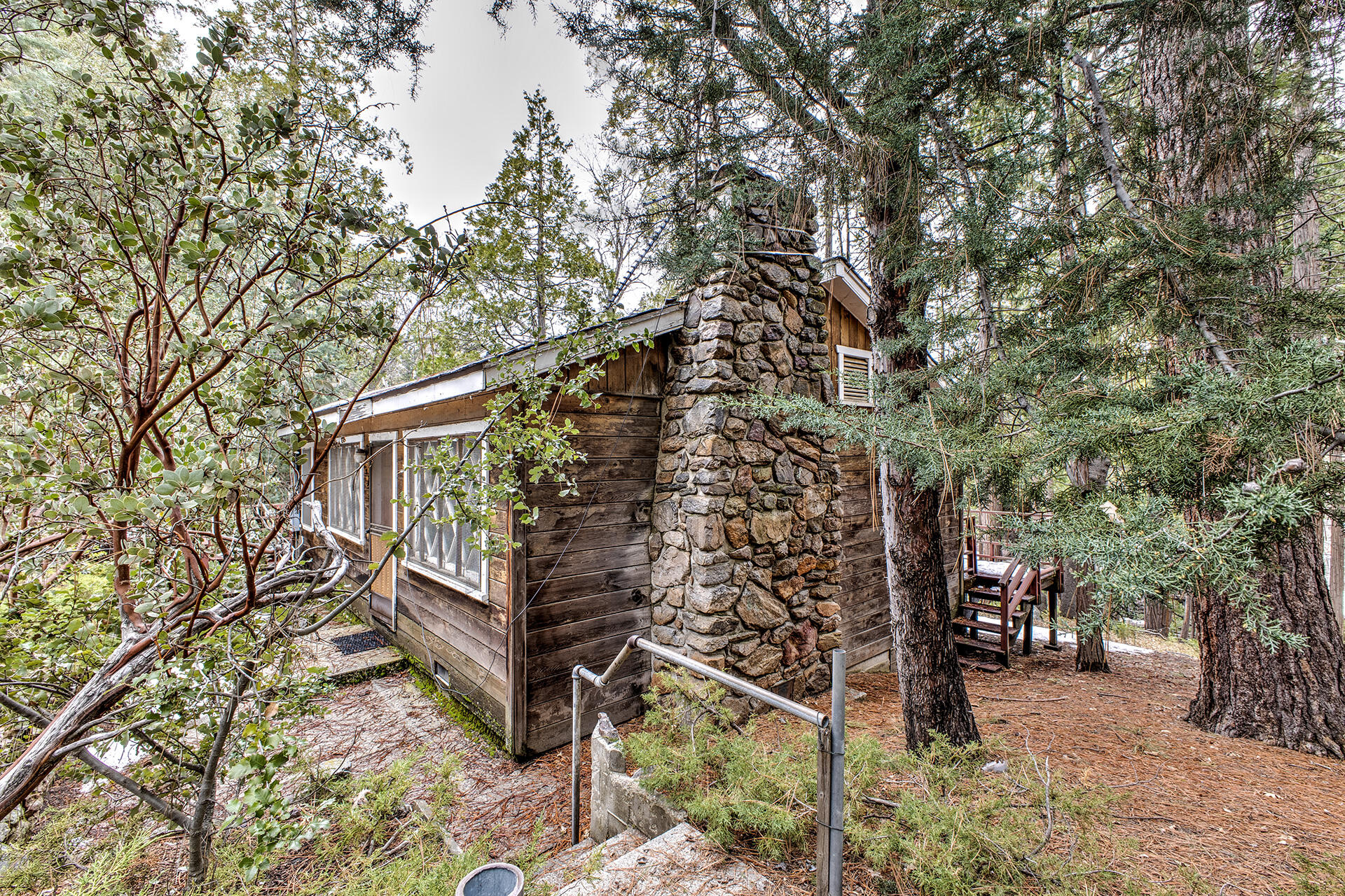 53250 Middleridge Drive Idyllwild, CA 92549 - Photo 4 of 30 a backyard of a house with lots of trees