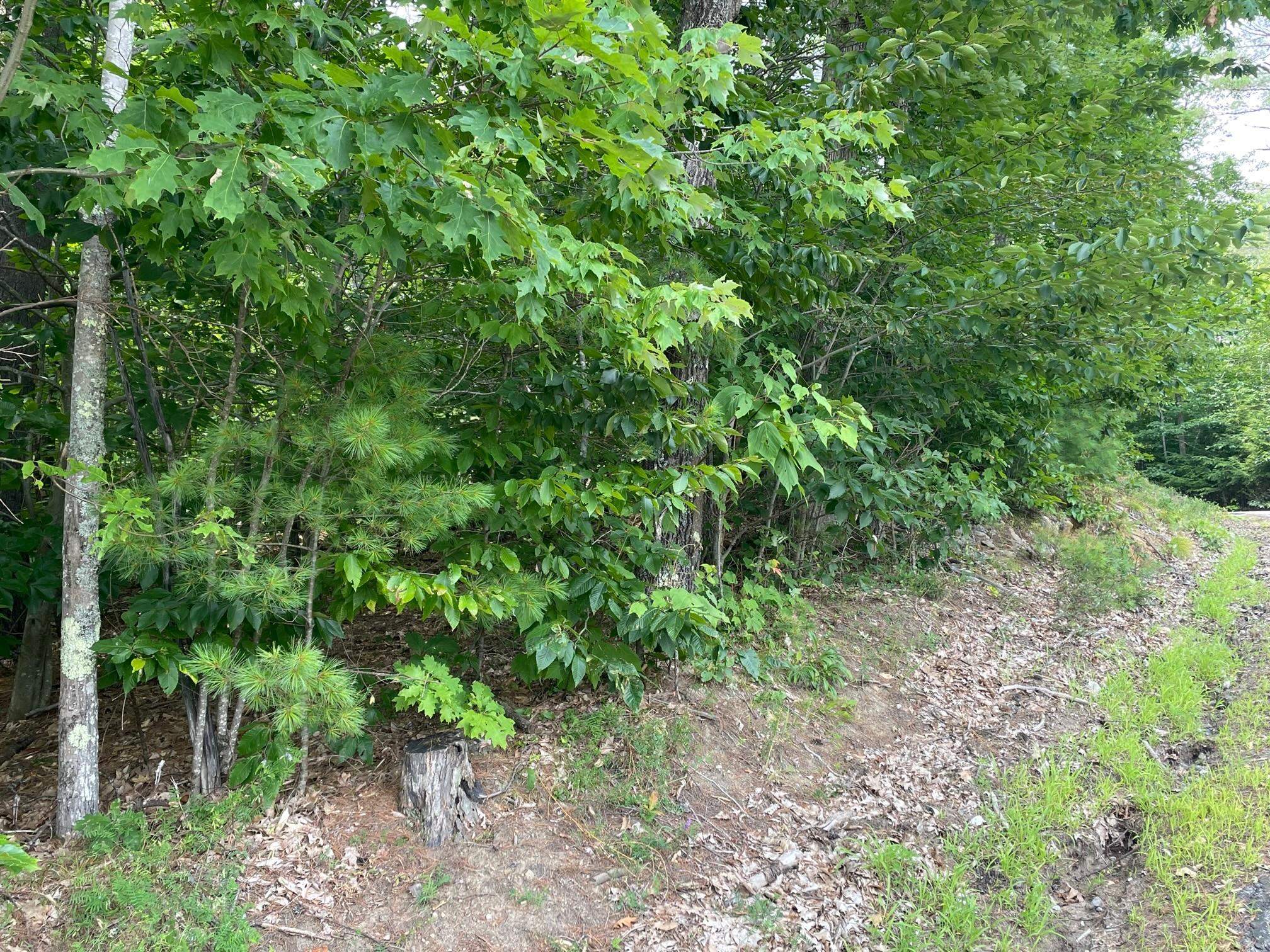 0 Sanborn Road Ashland, NH 03217 - Photo 13 of 16 Gallery Image 13