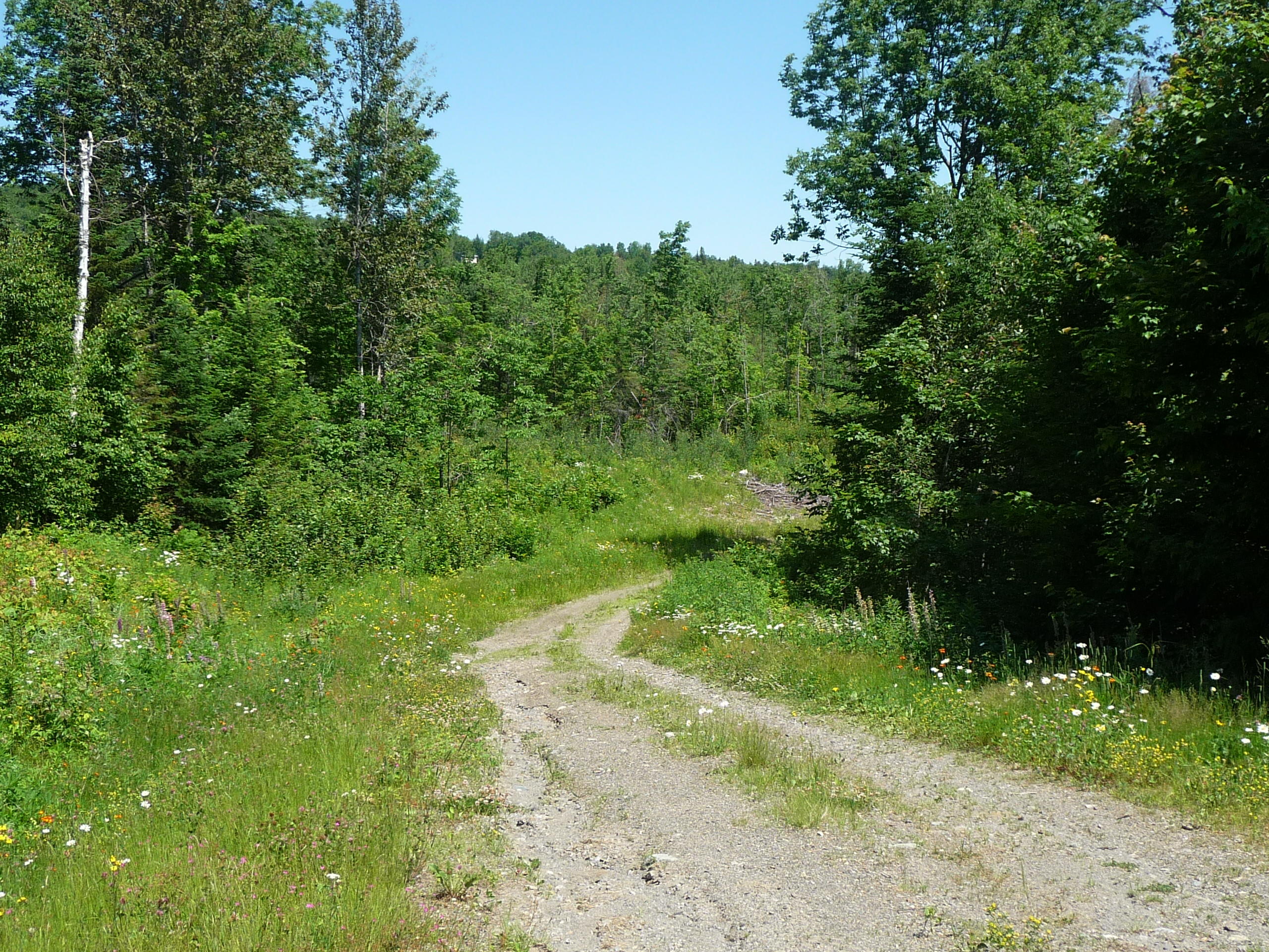 Lot 13 Whispering Ridge Drive Eustis, ME 04936 - Photo 3 of 6 P1110002