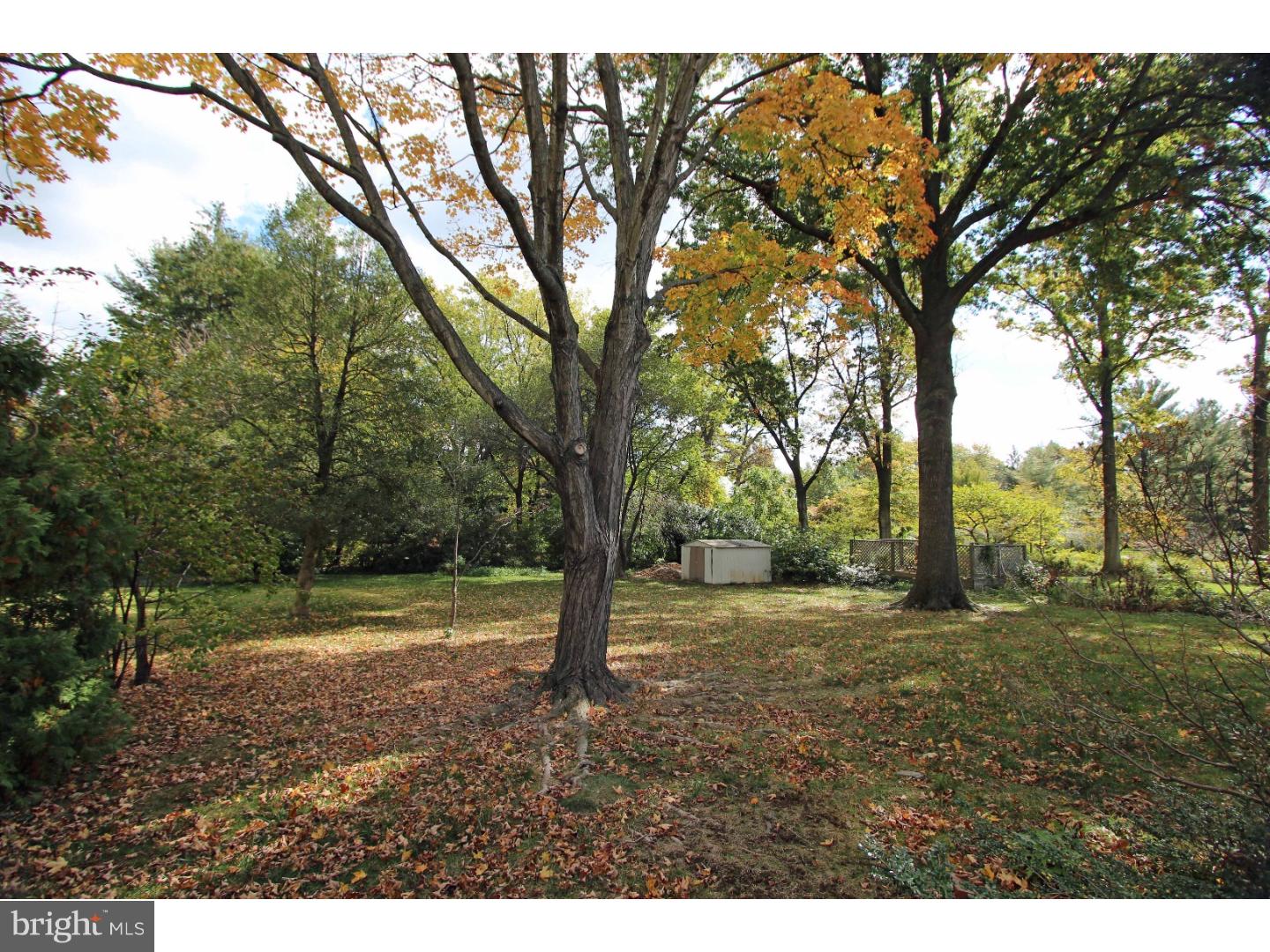 407 Apple Road Newark, DE 19711 - Photo 21 of 25 Back Yard
