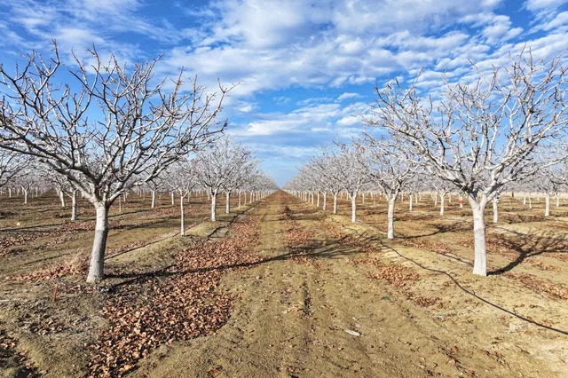 $7,820,000 | 0 West Conejo Avenue, San Joaquin, CA 93660