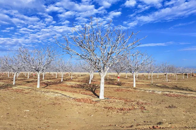 $7,820,000 | 0 West Conejo Avenue, San Joaquin, CA 93660