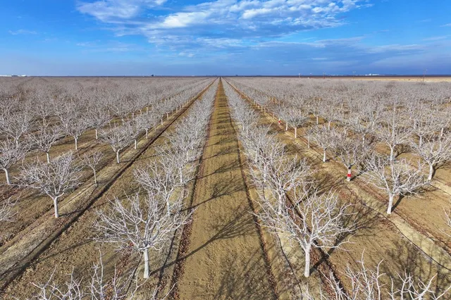 $7,820,000 | 0 West Conejo Avenue, San Joaquin, CA 93660