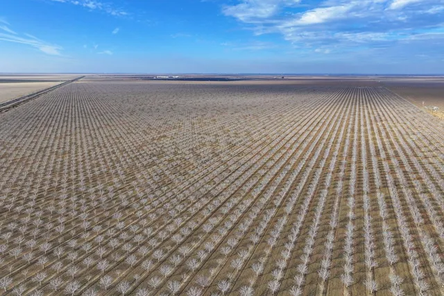 $7,820,000 | 0 West Conejo Avenue, San Joaquin, CA 93660