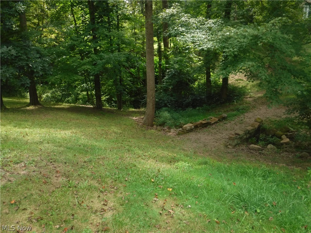Carol Lane Dresden, OH 43821 - Photo 4 of 12 Front side of lot showing unique stone bridge that crosses the ravine, giving access to back of the lot.