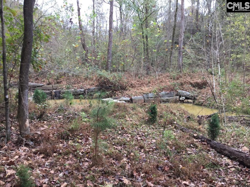 Old Cherokee Road Blair, SC 29015 - Photo 11 of 18