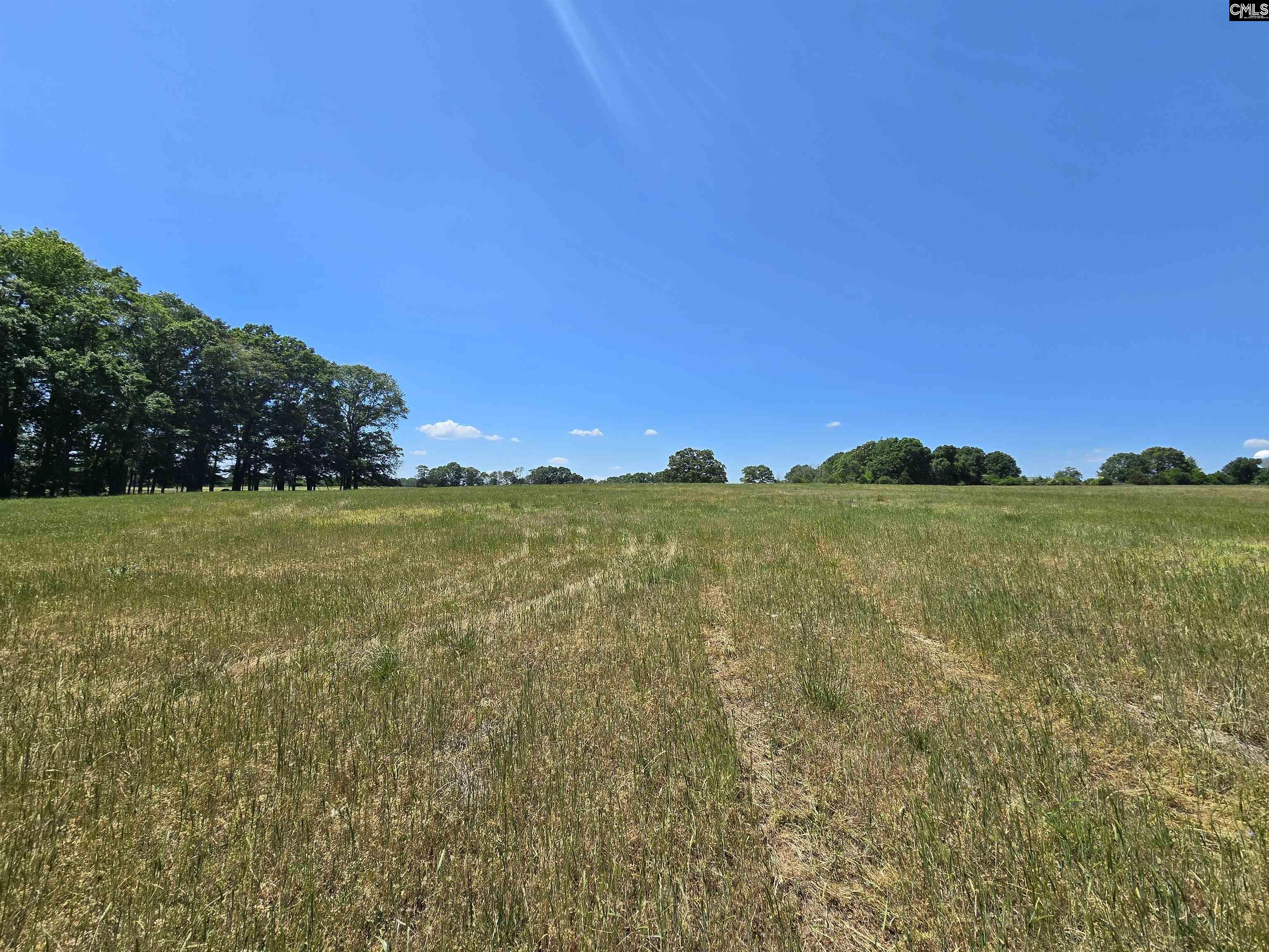 542 Pea Ridge Highway Jonesville, SC 29353 - Photo 30 of 72