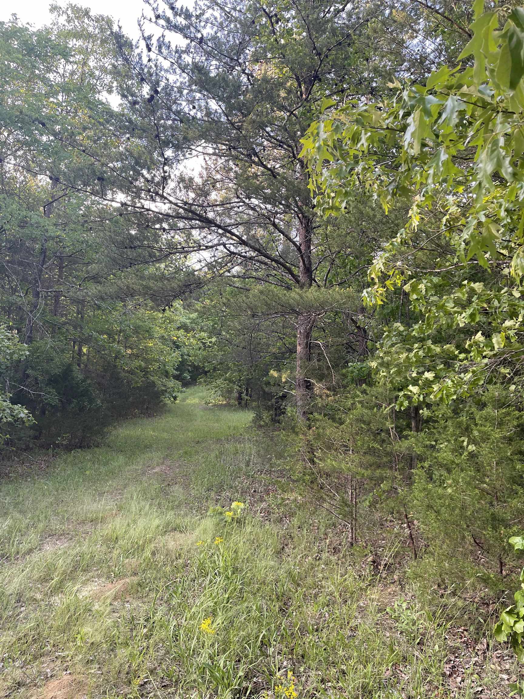 811 Pondfield Road Gaffney, SC 29340 - Photo 11 of 32 Gallery Image 11