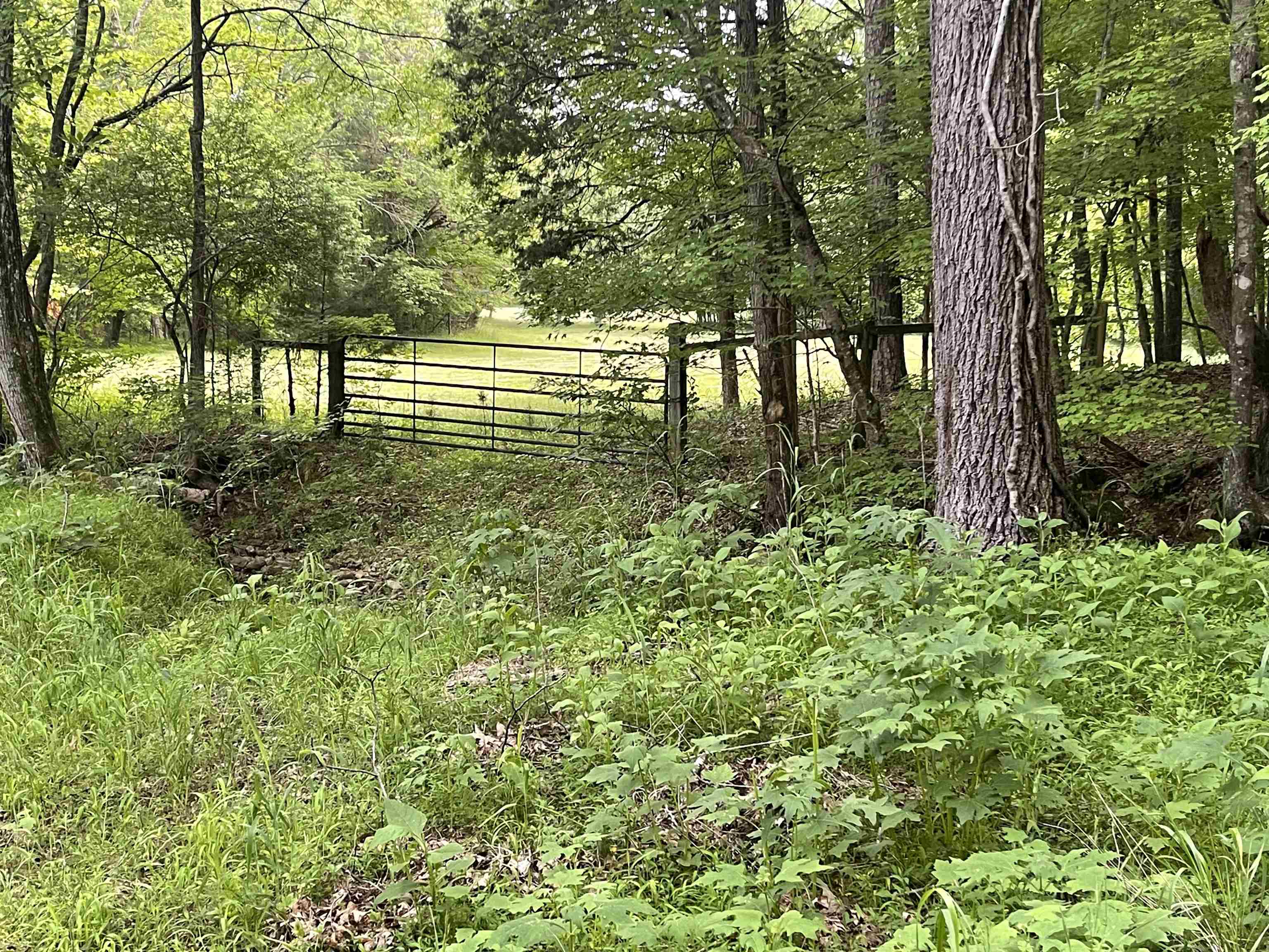 811 Pondfield Road Gaffney, SC 29340 - Photo 2 of 32 Gallery Image 2