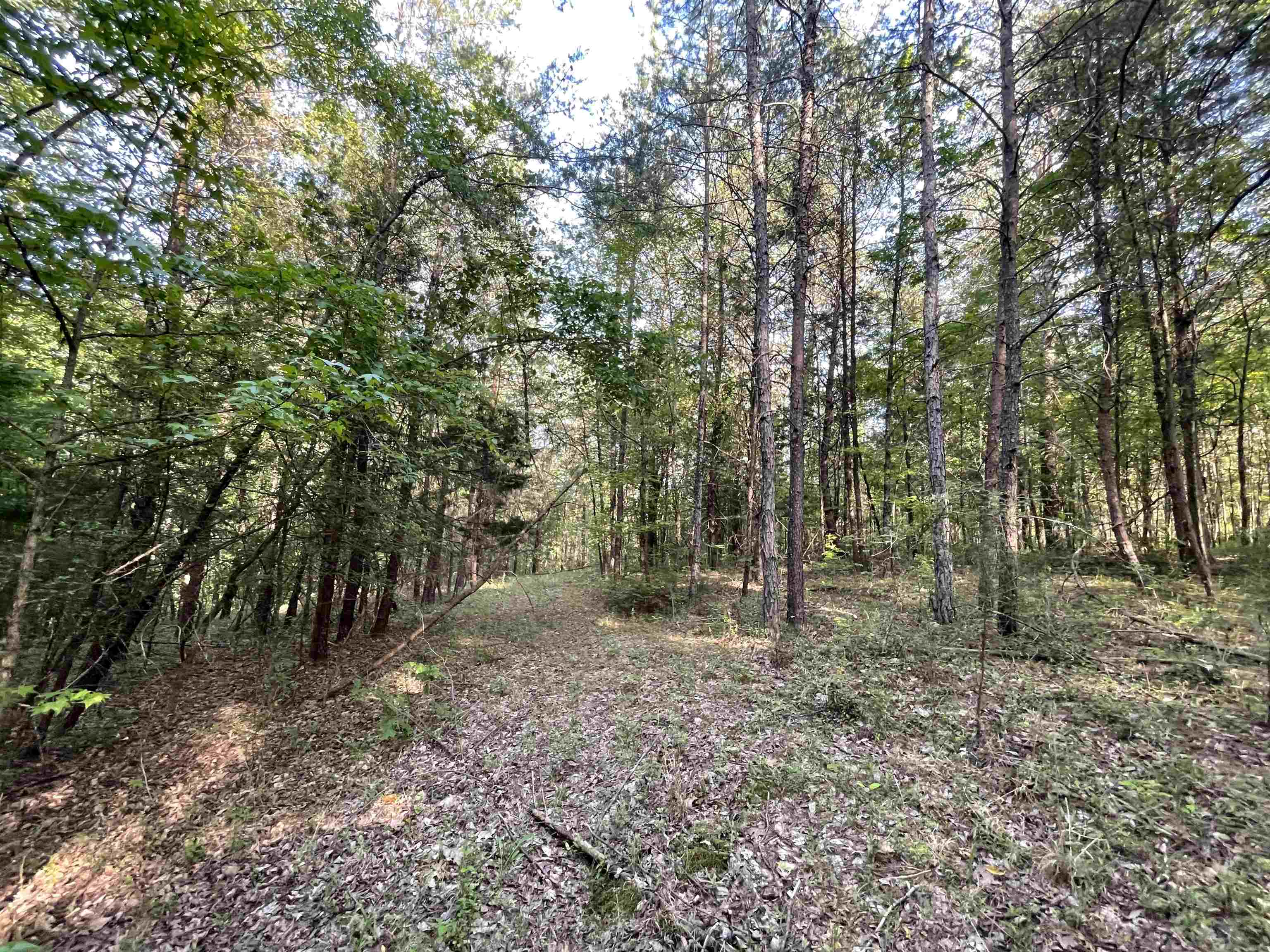 811 Pondfield Road Gaffney, SC 29340 - Photo 10 of 32 Gallery Image 10