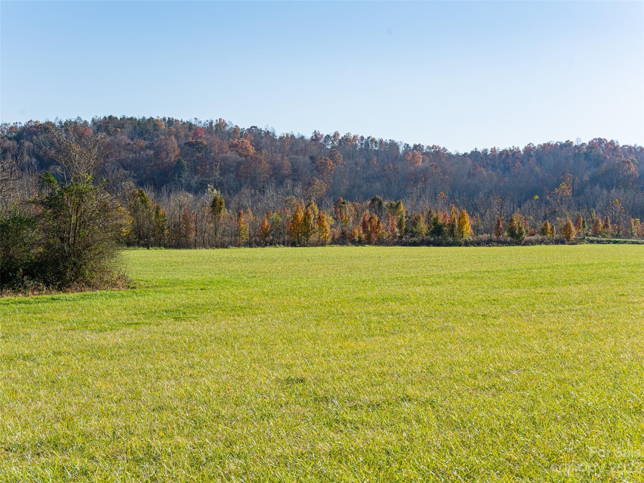 9999 Sain Road Nebo, NC 28761 - Photo 15 of 22 Gallery Image 15