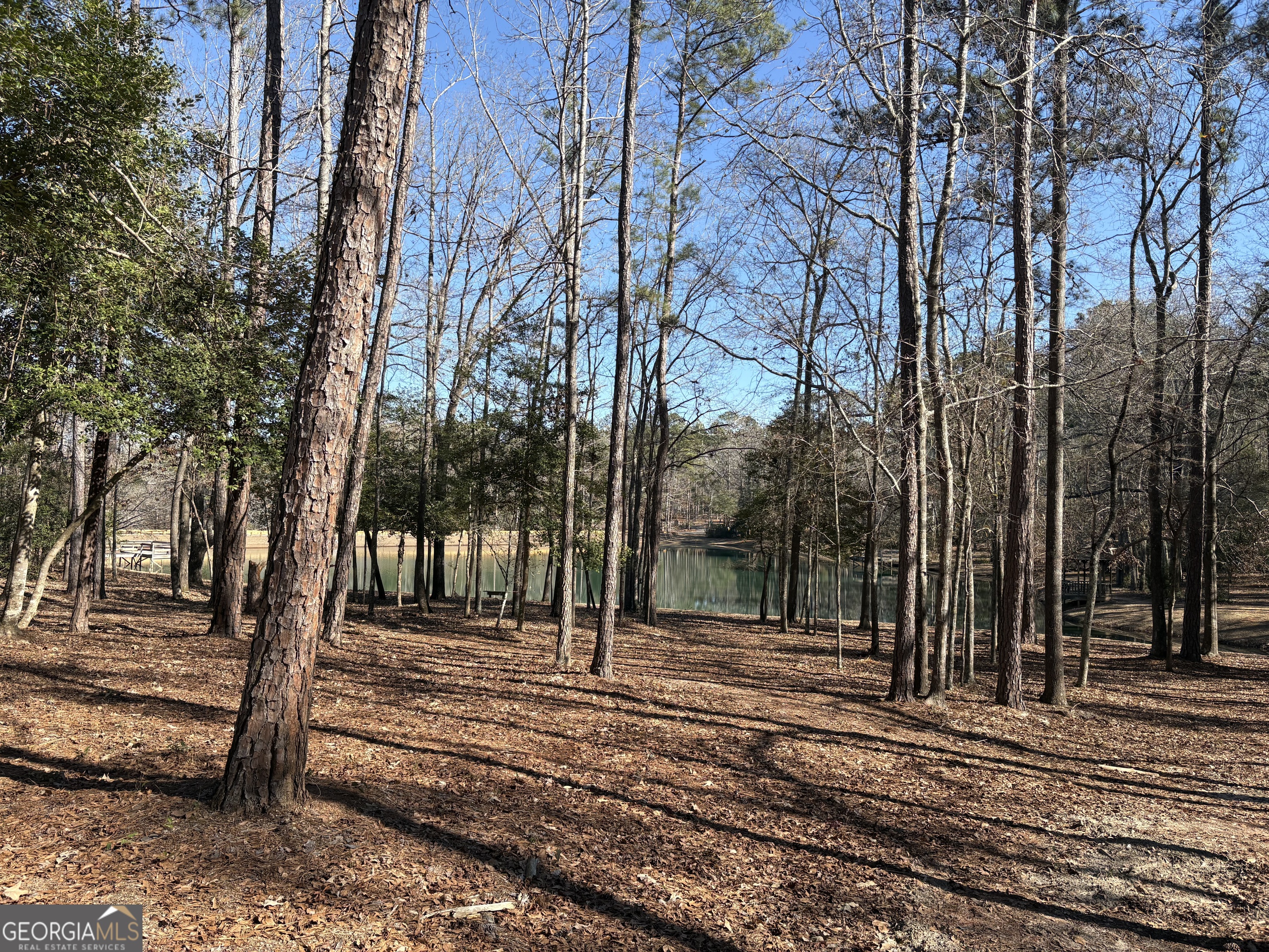 245 Woodland Street Dublin, GA 31021 - Photo 39 of 48 a view of a yard with trees