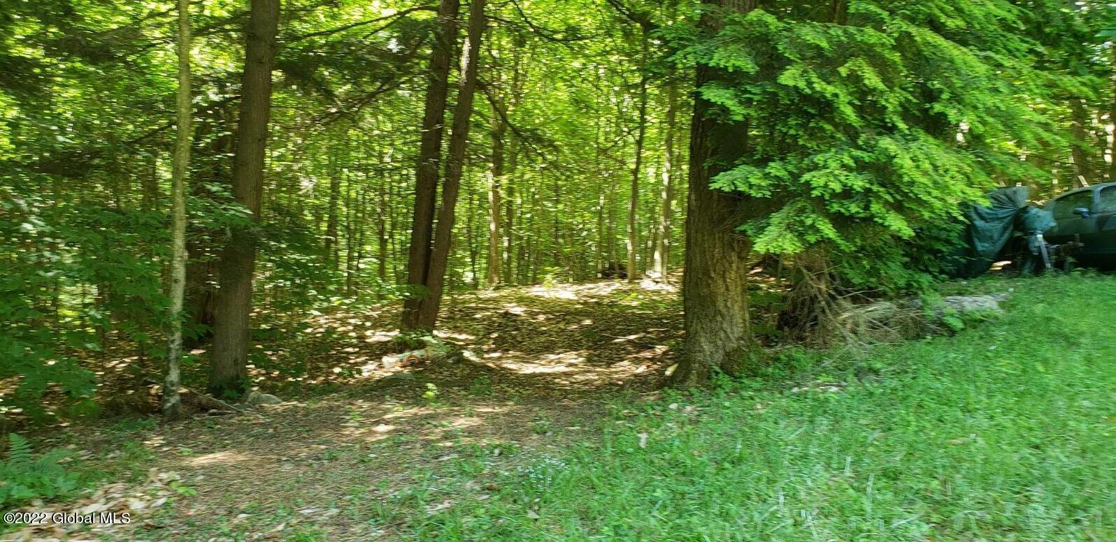 4400 South Shore Road Hadley, NY 12822 - Photo 30 of 41 20220611_102402