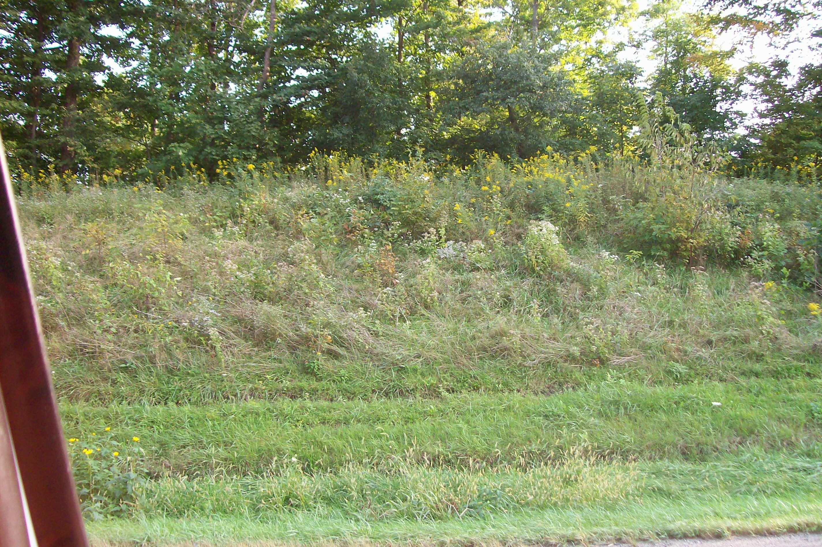 0 Johnstown Utica Road Utica, OH 43080 - Photo 11 of 11