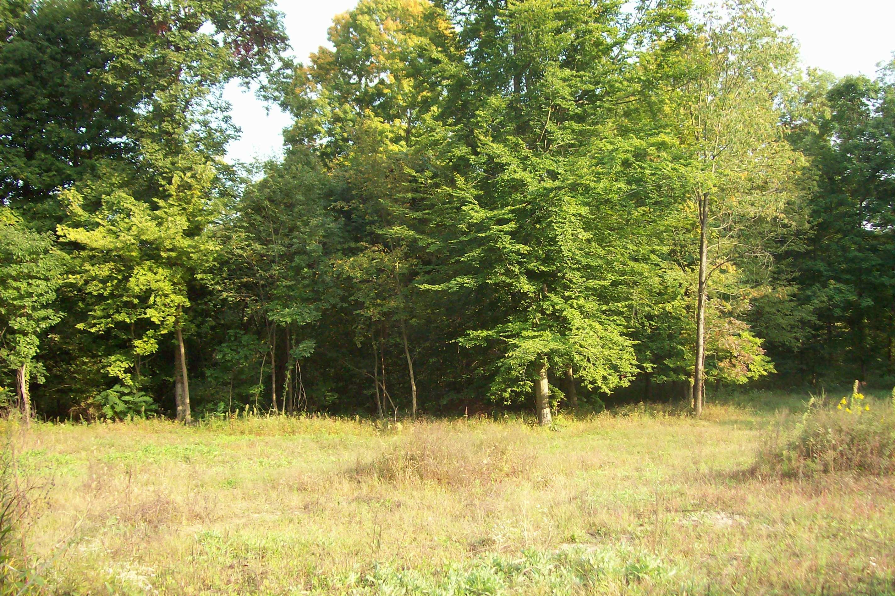 0 Johnstown Utica Road Utica, OH 43080 - Photo 4 of 11
