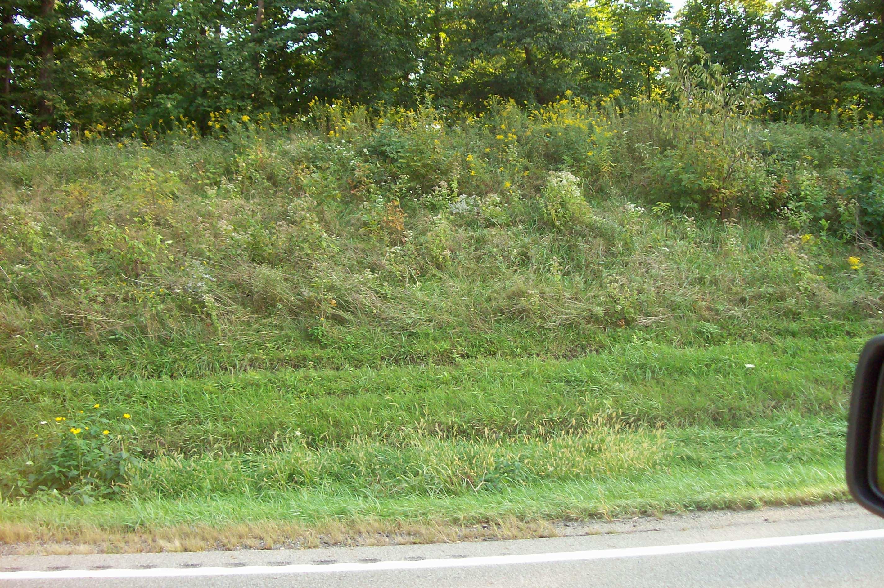 0 Johnstown Utica Road Utica, OH 43080 - Photo 5 of 11