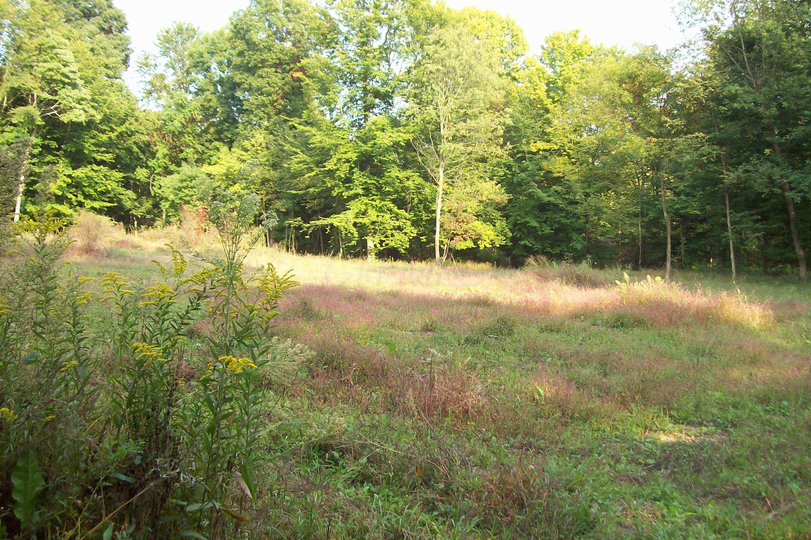 0 Johnstown Utica Road Utica, OH 43080 - Photo 6 of 11
